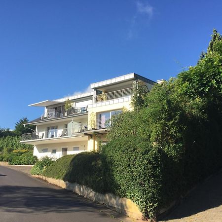 Ferienhaus Panorama Mosel رايل المظهر الخارجي الصورة