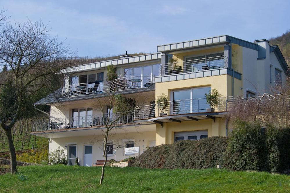 Ferienhaus Panorama Mosel رايل المظهر الخارجي الصورة