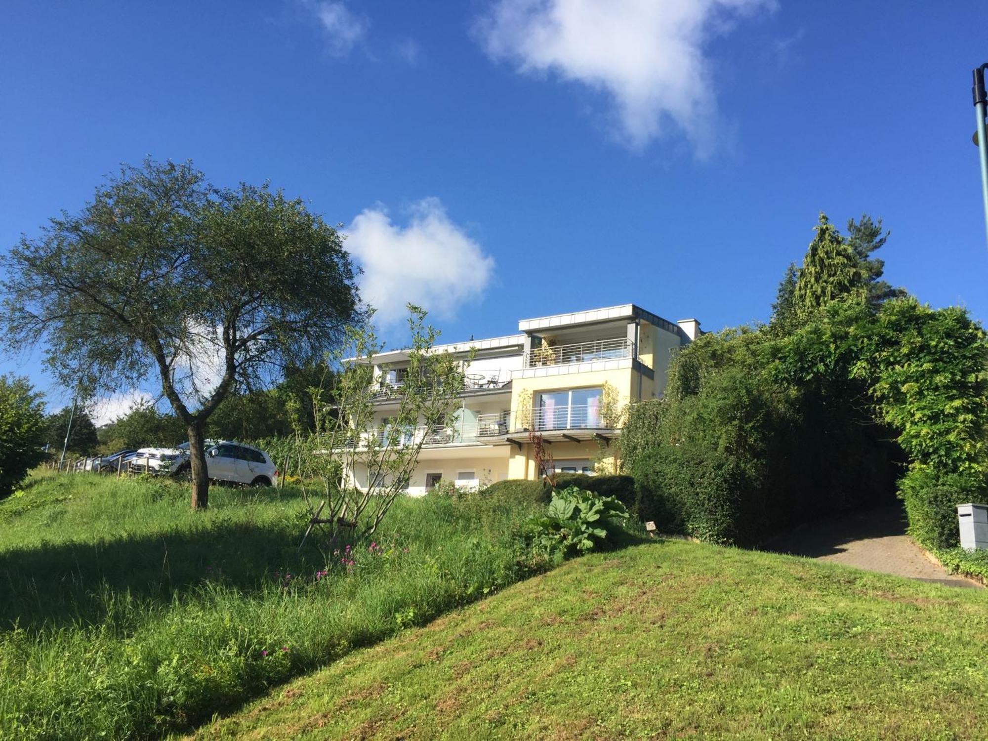 Ferienhaus Panorama Mosel رايل المظهر الخارجي الصورة